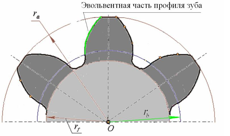 Эвольвентная часть профиля зуба